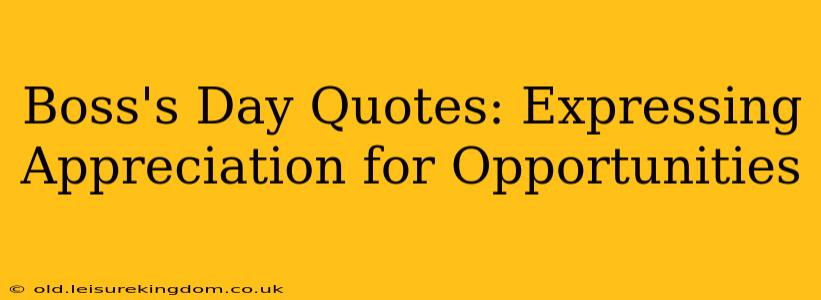 Boss's Day Quotes: Expressing Appreciation for Opportunities