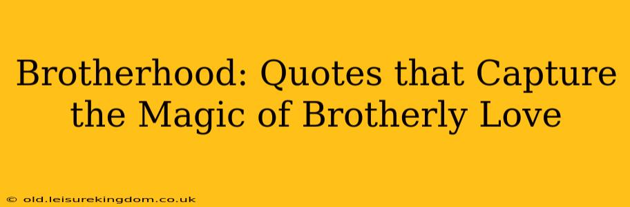 Brotherhood: Quotes that Capture the Magic of Brotherly Love