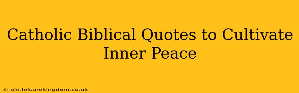 Catholic Biblical Quotes to Cultivate Inner Peace