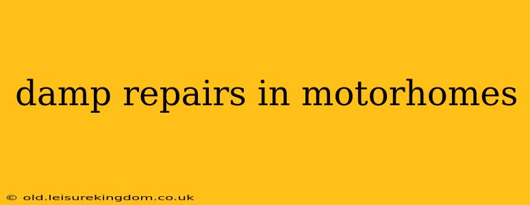 damp repairs in motorhomes