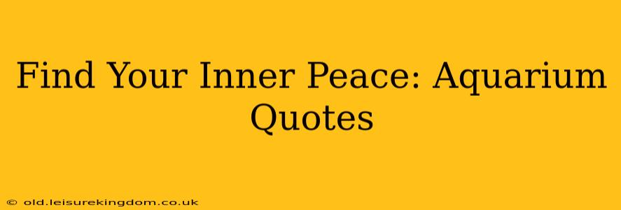 Find Your Inner Peace: Aquarium Quotes