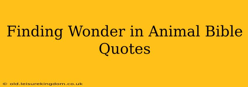 Finding Wonder in Animal Bible Quotes