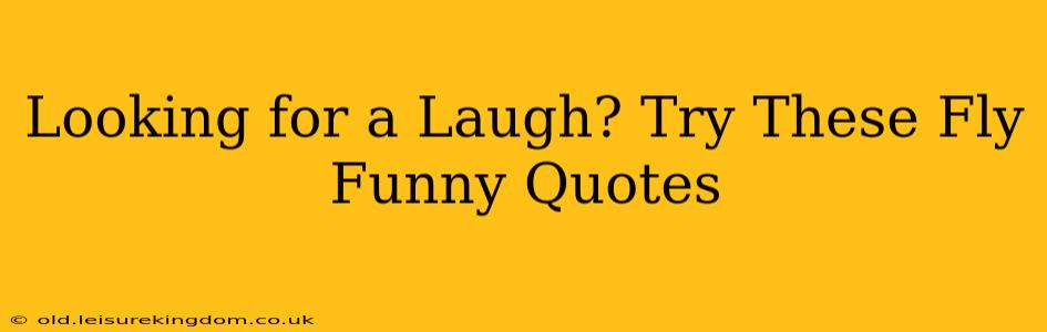 Looking for a Laugh? Try These Fly Funny Quotes