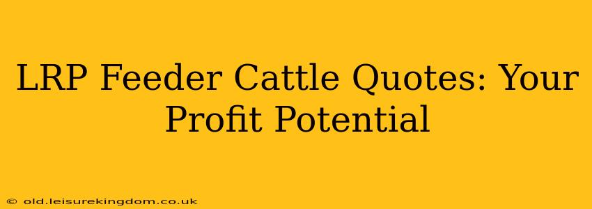 LRP Feeder Cattle Quotes: Your Profit Potential