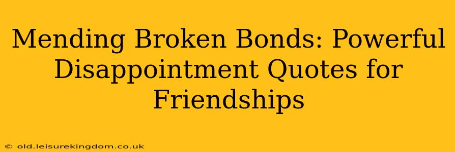 Mending Broken Bonds: Powerful Disappointment Quotes for Friendships