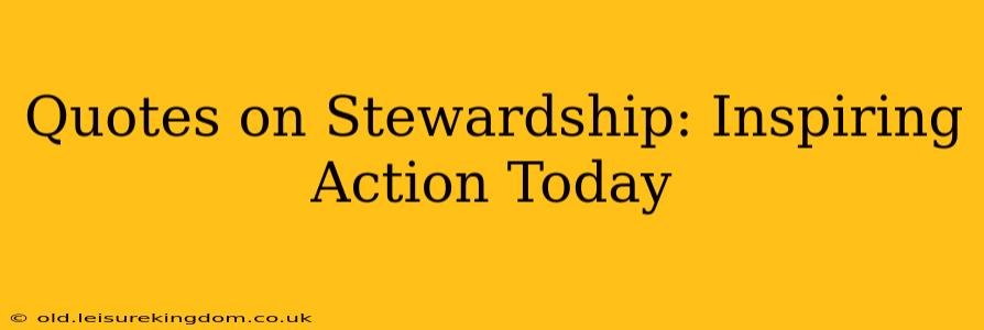 Quotes on Stewardship: Inspiring Action Today
