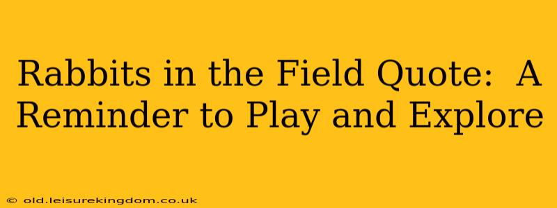 Rabbits in the Field Quote:  A Reminder to Play and Explore