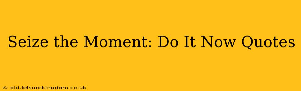 Seize the Moment: Do It Now Quotes