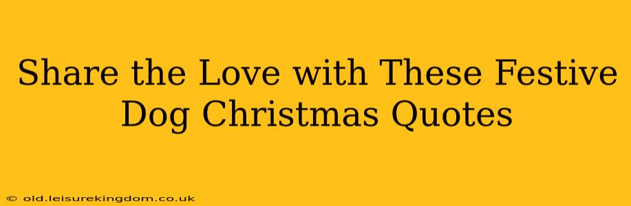Share the Love with These Festive Dog Christmas Quotes