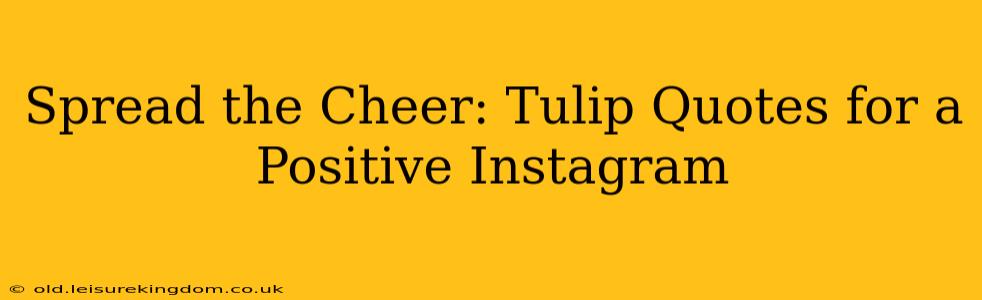 Spread the Cheer: Tulip Quotes for a Positive Instagram