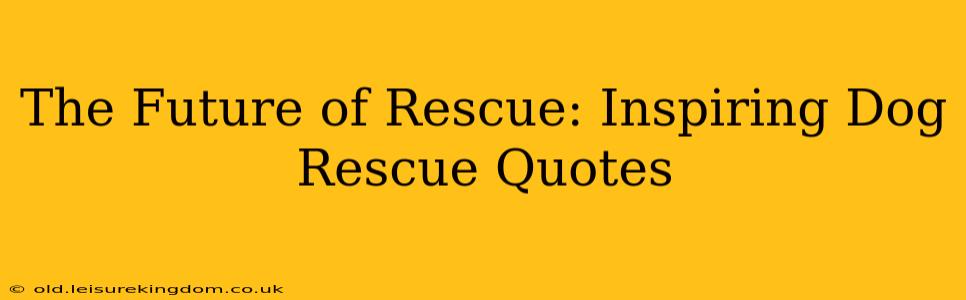 The Future of Rescue: Inspiring Dog Rescue Quotes