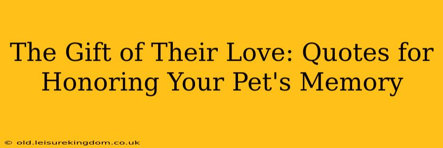 The Gift of Their Love: Quotes for Honoring Your Pet's Memory