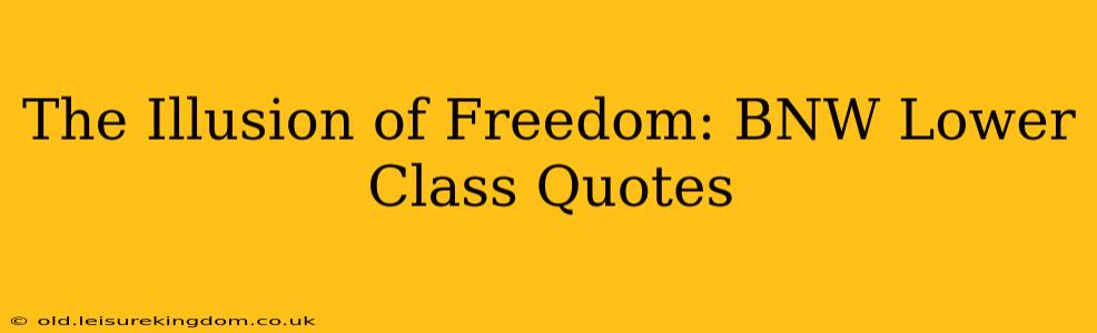 The Illusion of Freedom: BNW Lower Class Quotes
