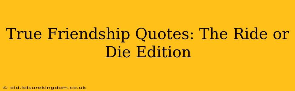 True Friendship Quotes: The Ride or Die Edition
